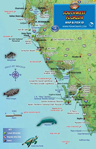 Imagen de archivo de Southwest Florida Dive Map & Coral Reef Creatures Guide Franko Maps Laminated Fish Card a la venta por Book Deals