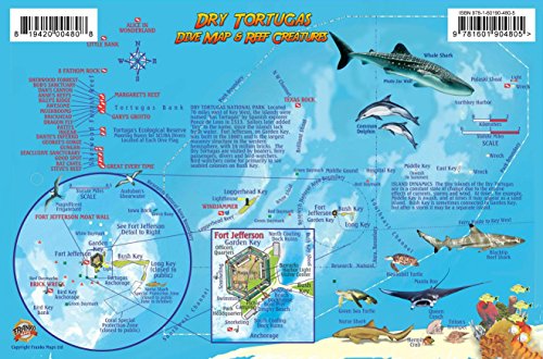 Imagen de archivo de Dry Tortugas Florida Dive Map & Coral Reef Creatures Guide Franko Maps Laminated Fish Card a la venta por GF Books, Inc.