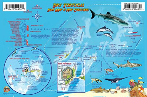 Stock image for Dry Tortugas Florida Dive Map & Coral Reef Creatures Guide Franko Maps Laminated Fish Card for sale by GF Books, Inc.