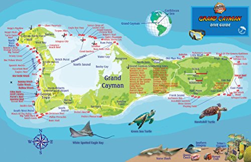 

Grand Cayman Island Dive Map & Reef Creatures Guide Franko Maps Laminated Fish Card