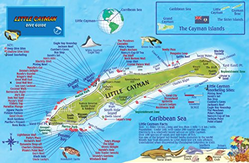 Beispielbild fr Little Cayman Island Dive Map & Reef Creatures Guide Franko Maps Laminated Fish Card zum Verkauf von GF Books, Inc.