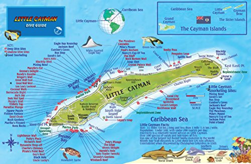 Stock image for Little Cayman Island Dive Map & Reef Creatures Guide Franko Maps Laminated Fish Card for sale by GF Books, Inc.