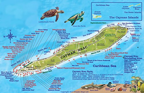 

Cayman Brac Island Dive Map & Reef Creatures Guide Franko Maps Laminated Fish Card