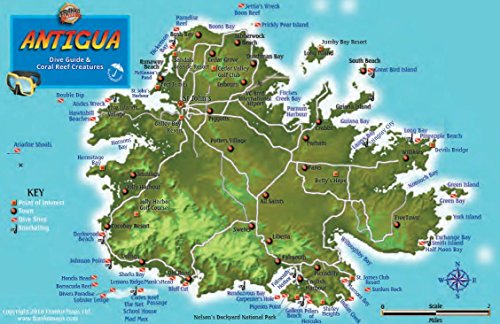 

Antigua Dive Map & Coral Reef Creatures Guide Franko Maps Laminated Fish Card