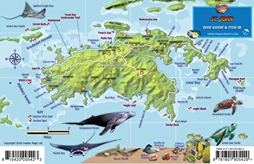 Stock image for St. John USVI Dive Map Fish ID Virgin Islands Franko Maps Waterproof Fish Card for sale by GF Books, Inc.