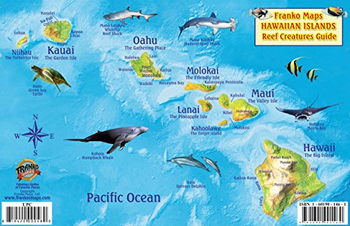 Stock image for Hawaiian Islands Map & Coral Reef Creatures Guide Franko Maps Laminated Fish Card for sale by GF Books, Inc.