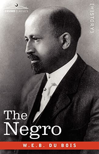 Imagen de archivo de The Negro a la venta por BooksRun