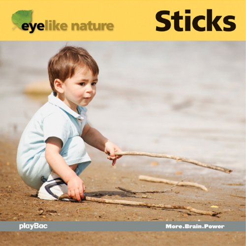 Beispielbild fr EyeLike Nature: Sticks zum Verkauf von Front Cover Books