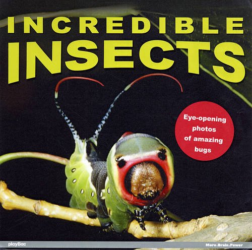 Stock image for Incredible Insects!: Eye-opening Photos of Amazing Bugs for sale by Wonder Book