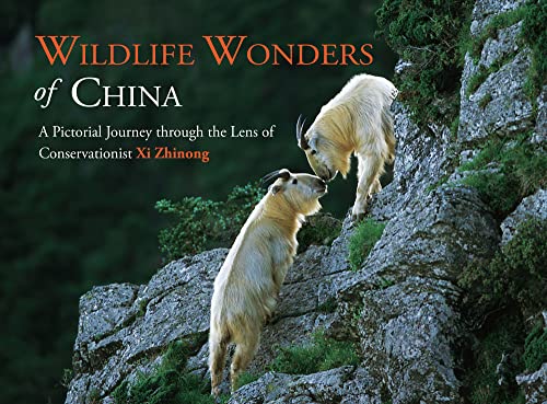 Stock image for Wildlife Wonders of China: A Pictorial Journey Through the Lens of Conservationist Xi Zhinong for sale by ThriftBooks-Dallas