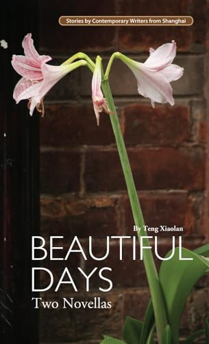 Beispielbild fr Beautiful Days: Two Novellas (Contemporary Writers) zum Verkauf von WorldofBooks