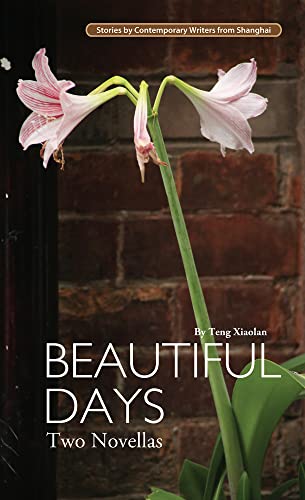 Stock image for Beautiful Days: Two Novellas (Contemporary Writers) for sale by WorldofBooks