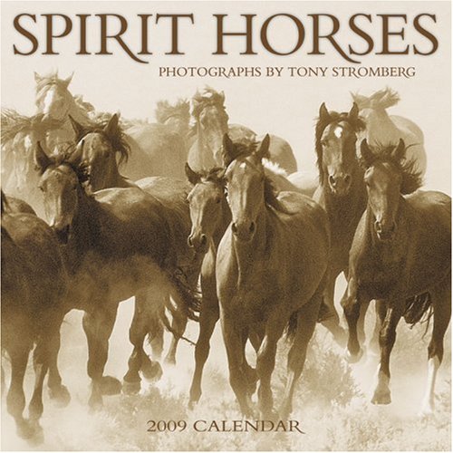 Spirit Horses 2009 Wall Calendar (9781602370999) by Tony Stromberg