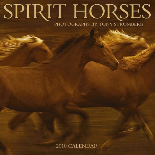 Spirit Horses 2010 Wall Calendar (9781602372856) by Tony Stromberg