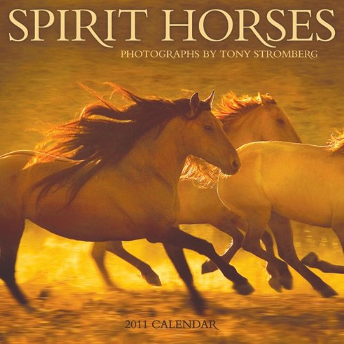 Spirit Horses 2011 Wall Calendar (9781602374058) by Tony Stromberg