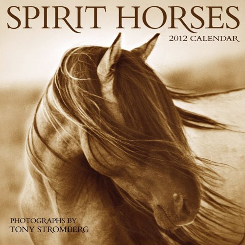 Spirit Horses 2012 Wall Calendar (9781602374966) by Tony Stromberg