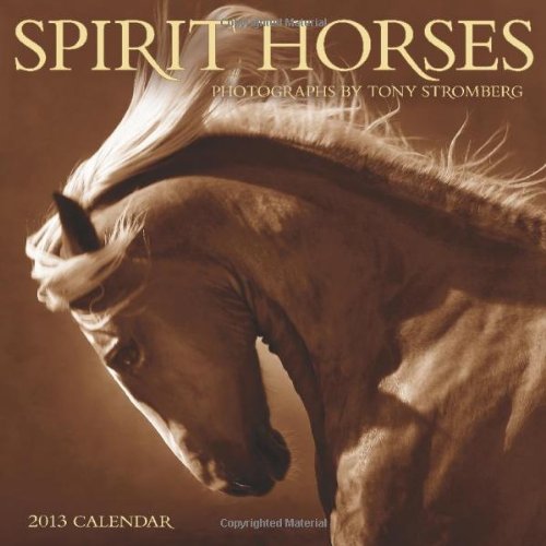 Spirit Horses 2013 Wall Calendar (9781602376397) by Tony Stromberg