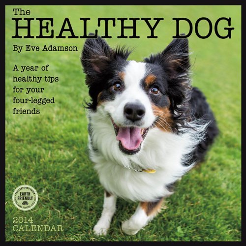 Healthy Dog 2014 Wall Calendar (9781602377288) by Eve Adamson