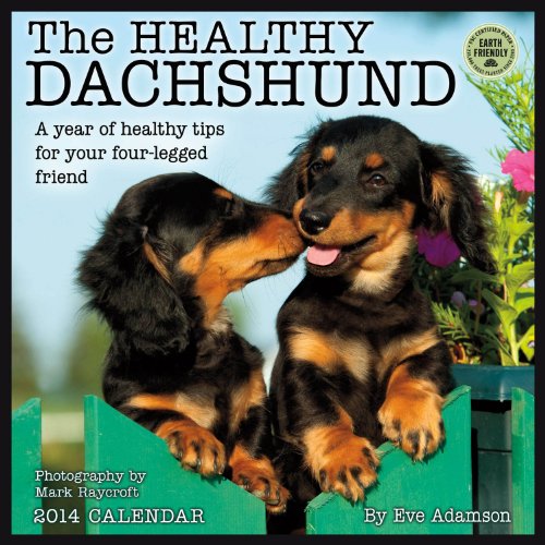 Healthy Dachshund 2014 Wall Calendar (9781602377646) by Eve Adamson