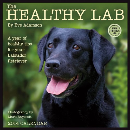 Healthy Lab: A Year of Healthy Tips for Your Labrador Retriever 2014 Wall Calendar (9781602377660) by Eve Adamson