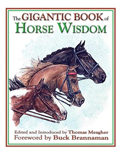 Stock image for The Gigantic Book of Horse Wisdom for sale by Your Online Bookstore