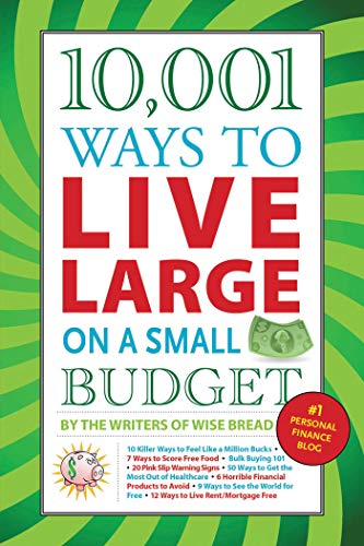 9781602397040: 10,001 Ways to Live Large on a Small Budget