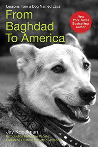 Beispielbild fr From Baghdad to America: Life after War for a Marine and His Rescued Dog zum Verkauf von Wonder Book