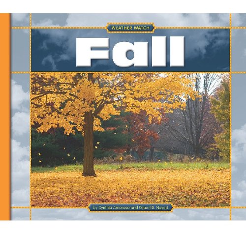 Stock image for Fall for sale by ThriftBooks-Atlanta