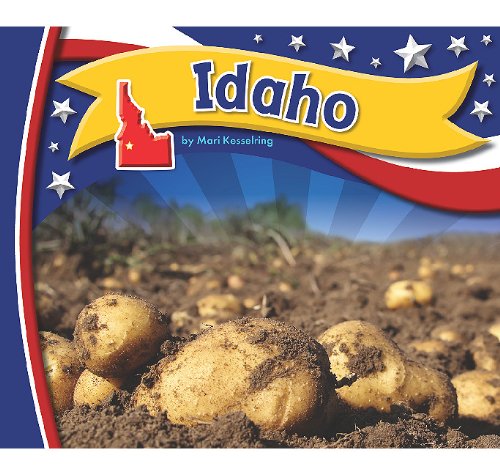 Stock image for Idaho (Statebasics) for sale by Ergodebooks