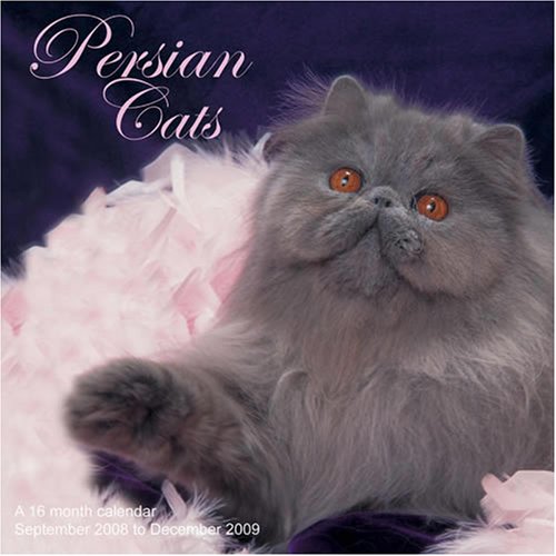 9781602542860: Persian Cats 2009 Wall Calendar (English and French Edition)