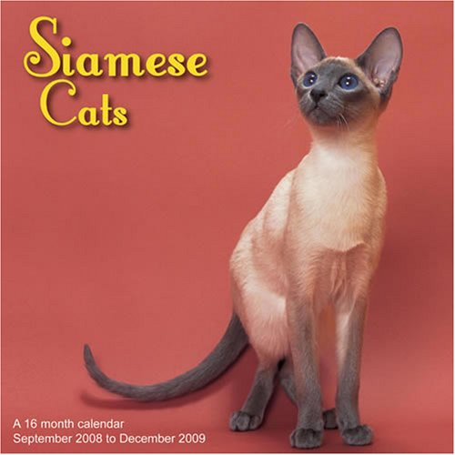 Siamese Cats 2009 Wall Calendar (9781602542877) by Magnum