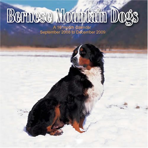 Bernese Mountain Dogs 2009 Wall Calendar (English and French Edition) (9781602543096) by Magnum