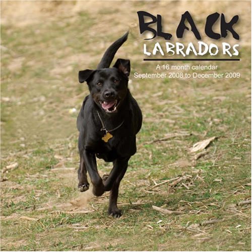 Black Labradors 2009 Wall Calendar (9781602543119) by Magnum