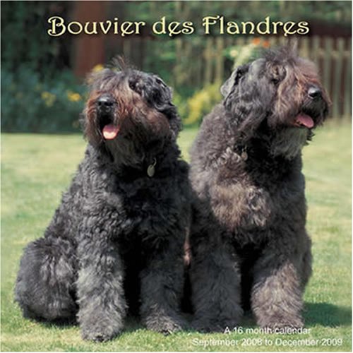 Bouvier des Flandres 2009 Wall Calendar (9781602543157) by Magnum