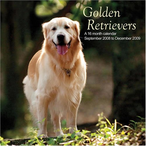 Golden Retrievers 2009 Wall Calendar (English and French Edition) (9781602543409) by Magnum