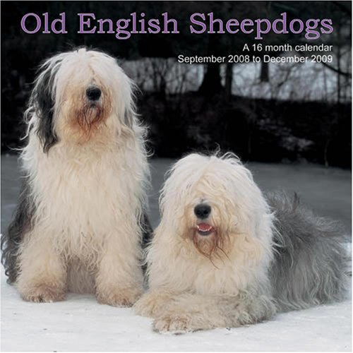 Old English Sheepdogs 2009 Wall Calendar (9781602543508) by Magnum