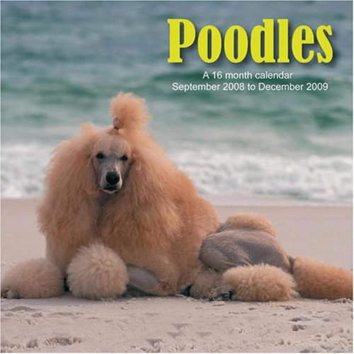 Poodles 2009 Wall Calendar (9781602543539) by Magnum