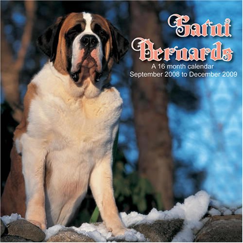 Saint Bernards 2009 Wall Calendar (9781602543577) by Magnum