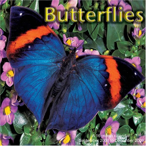 Butterflies 2009 Wall Calendar (9781602543805) by Magnum