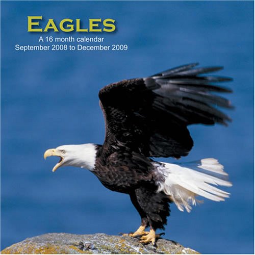 Eagles 2009 Wall Calendar (9781602543836) by Magnum