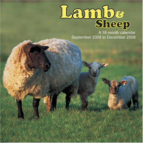 Lamb & Sheep 2009 Wall Calendar (9781602543898) by Magnum