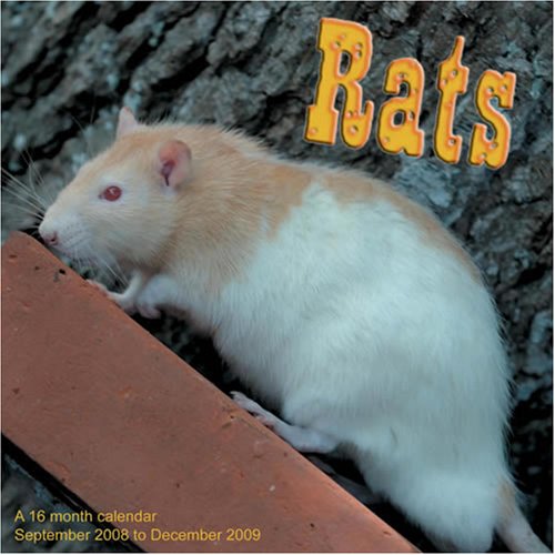 Rats 2009 Wall Calendar (9781602543973) by Magnum