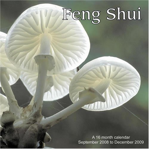 Feng Shui 2009 Wall Calendar (9781602544321) by Magnum