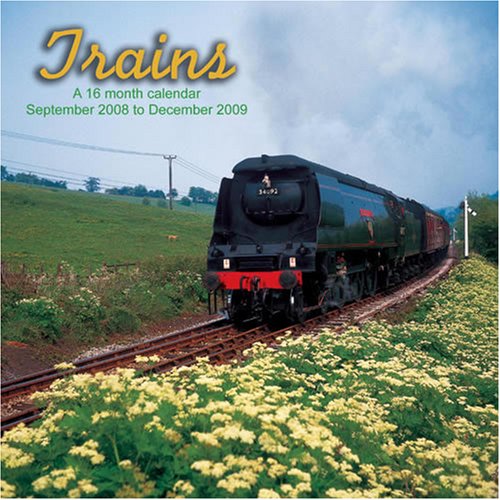 Trains 2009 Wall Calendar (9781602544406) by Magnum