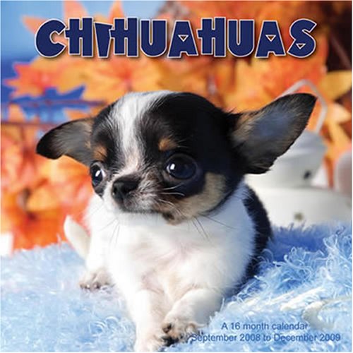 Chihuahuas 2009 Mini Calendar (9781602544567) by Magnum