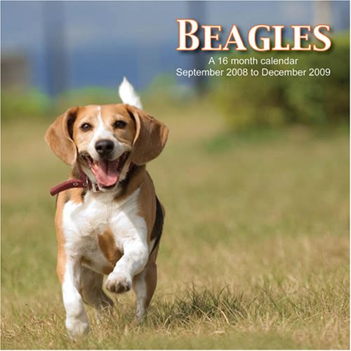 Beagles 2009 Wall Calendar (9781602544802) by Magnum