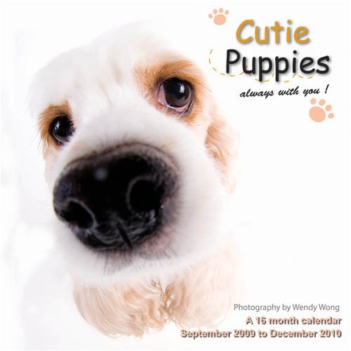 Cutie Puppies 2010 Wall Calendar (9781602545472) by Magnum