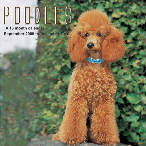 Poodles 2010 Wall Calendar (9781602546059) by Magnum