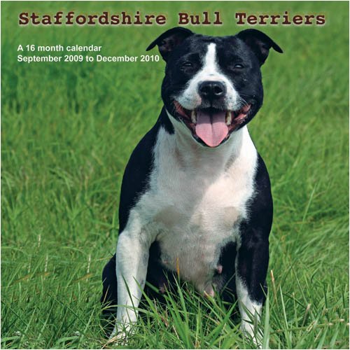 Staffordshire Bull Terriers 2010 Wall Calendar (9781602546158) by Magnum