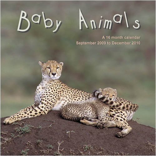 Baby Animals 2010 Wall Calendar (9781602546233) by Magnum